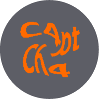 Captcha task